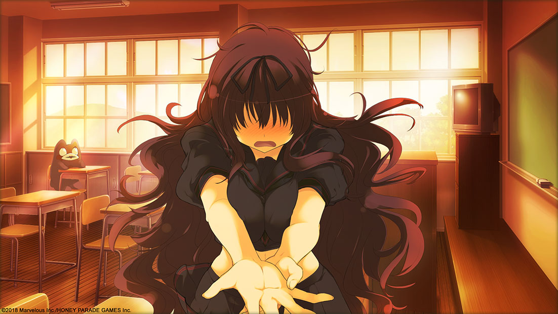 SENRAN KAGURA Reflexions - Official Site - Enter Age
