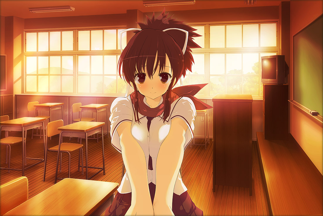 SENRAN KAGURA Reflexions - Official Site - Enter Age