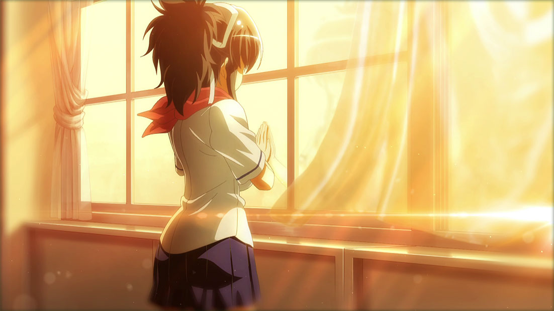 SENRAN KAGURA Reflexions at the best price